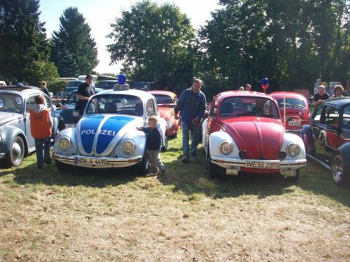 PolizeiFeuerwehrkäfer