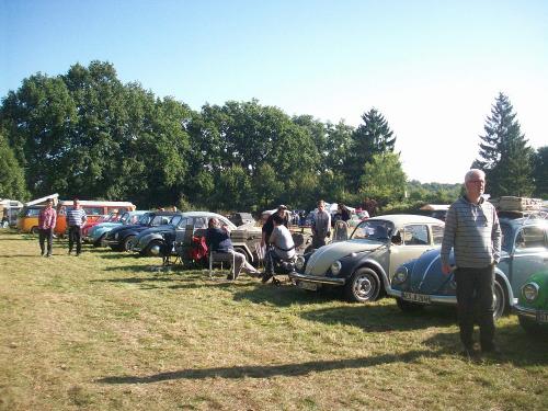 schöne Autos in Reih und Glied